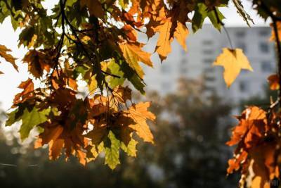 Осень пришла в Киев почти на месяц раньше, чем в прошлом году – синоптики
