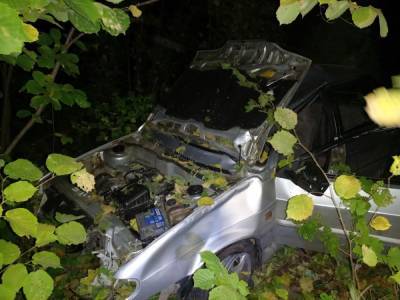 18-летний водитель погиб при столкновении с лосем в Перевозе