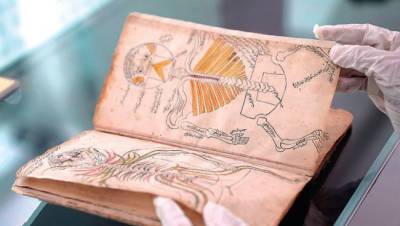 Саудовская библиотека приобрела книгу 14 века по анатомии