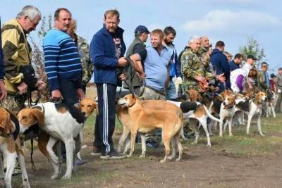 Выставка охотничьих собак прошла в Липецкой области
