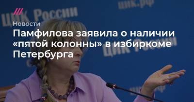 Памфилова заявила о наличии «пятой колонны» в избиркоме Петербурга