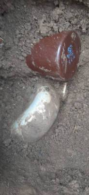В Гатчинском районе поисковики обнаружили останки красноармейца