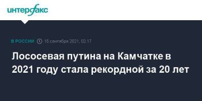 Лососевая путина на Камчатке в 2021 году стала рекордной за 20 лет