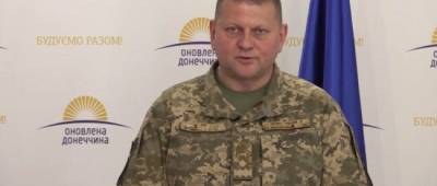 Украина закупить у Турции еще 24 ударных беспилотника