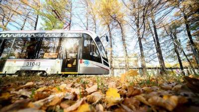 Несколько трамвайных маршрутов временно задерживается на шоссе Энтузиастов в Москве