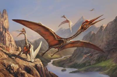 Ученые узнали, как птерозавры учились летать