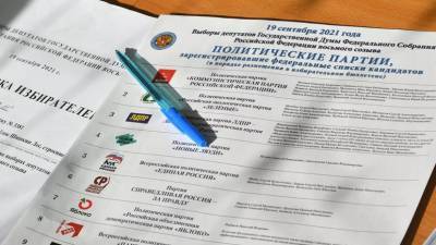 В ЦИК назвали число досрочно проголосовавших на выборах в Госдуму