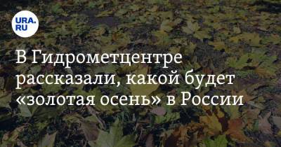 Марина Макарова - В Гидрометцентре рассказали, какой будет «золотая осень» в России - ura.news - Россия