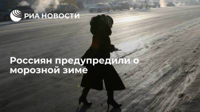Климатолог Терешонок предупредил россиян о холодной зиме с сильными морозами