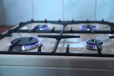 Специалисты выявили 540 нарушений правил пользования газом в домах и квартирах тамбовчан