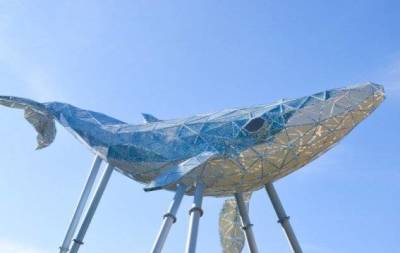В Украине открыли самую большую скульптуру из переработанного пластика — "Киевский Кит" (ФОТО)