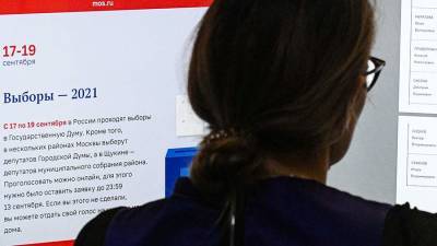 Наблюдатель из Сербии оценил организацию электронного голосования в РФ