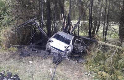 Пожар вспыхнул в автомобиле, который съехал с дороги в Тверской области