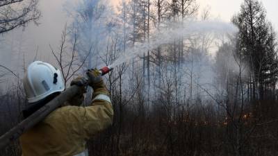 В Архангельской области сообщили о завершении пожароопасного сезона