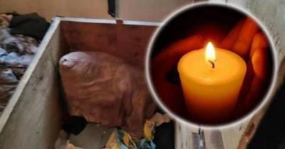 Украинская полиция расследует гибель двух детей в Донецкой области
