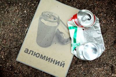Выживут сильнейшие: как мусорная реформа повлияла на малый бизнес в Ленобласти