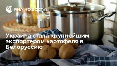 Украина стала крупнейшим экспортером картофеля в Белоруссию за семь месяцев 2021 года