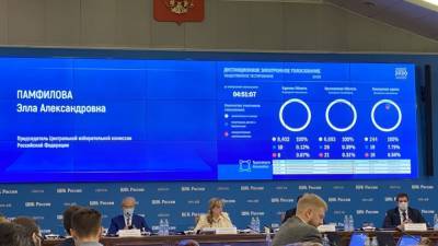 Глава Trinity Monsters Вайсман назвал надежной систему электронного голосования в Москве