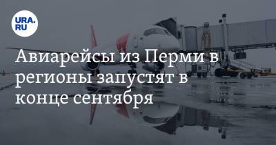 Авиарейсы из Перми в регионы запустят в конце сентября