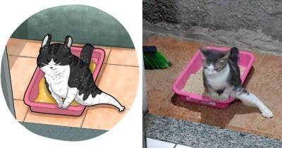 Художник из Индонезии превращает котов из мемов в смешные рисунки, повышая градус веселья и безумия