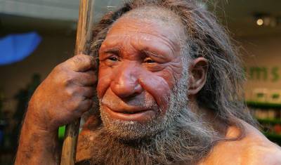 Испанские ученые реконструировали охоту неандертальцев на птиц