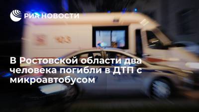 Микроавтобус столкнулся с фурой в Ростовской области, два человека погибли