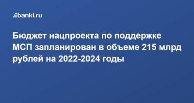 Бюджет нацпроекта по поддержке МСП запланирован в объеме 215 млрд рублей на 2022-2024 годы