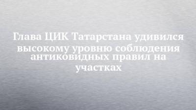 Глава ЦИК Татарстана удивился высокому уровню соблюдения антиковидных правил на участках