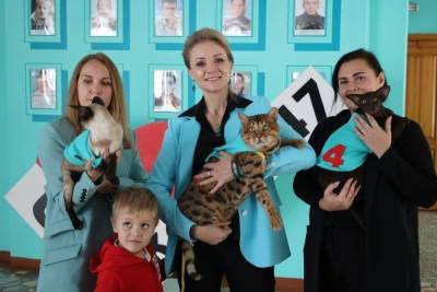 “Агитации кошками не было”: кандидат от Новых людей в Пензе объяснила происшествие на избирательном участке
