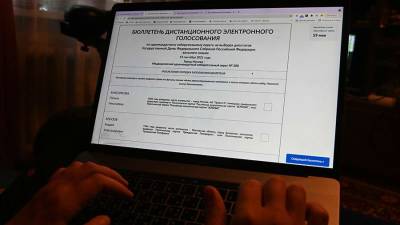 Эксперт из Армении положительно оценил онлайн-голосование на выборах в ГД