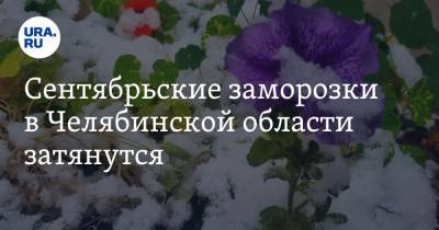 Сентябрьские заморозки в Челябинской области затянутся