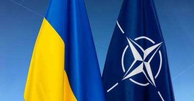 В армии Украины уже ввели более 300 стандартов НАТО