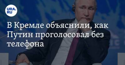 В Кремле объяснили, как Путин проголосовал без телефона