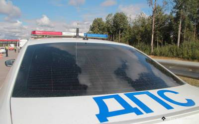 Севшую за руль пьяной женщину из Тверской области остановили гаишники в Смоленске