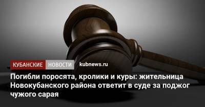 Погибли поросята, кролики и куры: жительница Новокубанского района ответит в суде за поджог чужого сарая