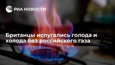 Читатели Daily Mail испугались голода и холода без российского газа
