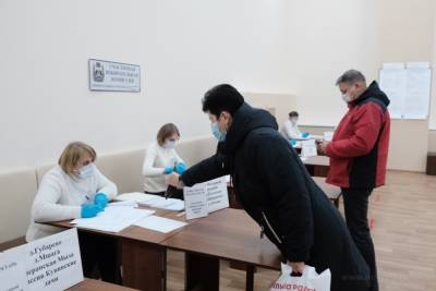 Явка на выборах в Новгородской области приблизилась к 9%