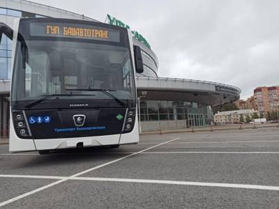В Башкирии организуют автобусные рейсы для хоккейных болельщиков