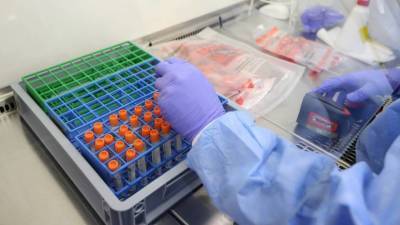 Доктор медицинских наук прокомментировал ситуацию с антителами к коронавирусу