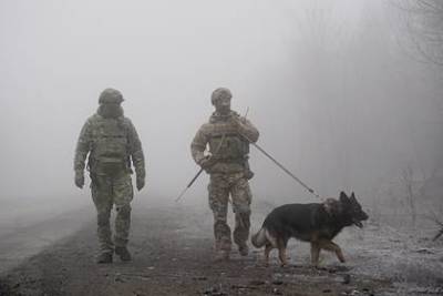 Савченко рассказала об утвержденной в США военной стратегии Украины