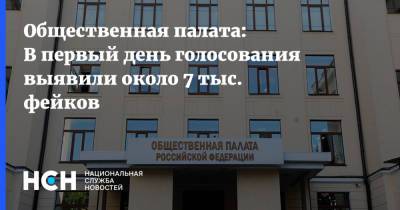 Общественная палата: В первый день голосования выявили около 7 тыс. фейков - nsn.fm - Россия