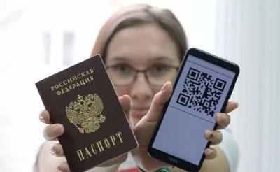 В России разрабатывают "электронную карту соотечественника". На нее смогут претендовать лица, проживающие в государствах, входивших в состав СССР