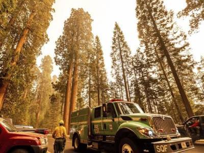 Многочисленные лесные пожары в Калифорнии, угрожают столетним гигантским секвойям