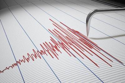 Сильные землетрясения зафиксировали в Японии и Мексике
