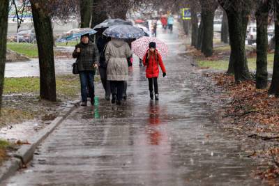 Дождливую погоду прогнозируют синоптики в Псковской области 22 сентября