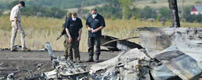 Дядя погибшей пассажирки MH17 в суде потребовал от США предоставить снимки места крушения