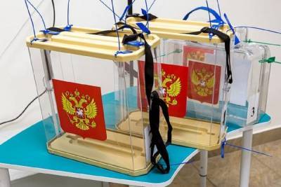 Более 100 тысяч белгородцев решили проголосовать на дому