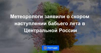 Метеорологи заявили о скором наступлении бабьего лета в Центральной России