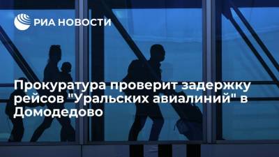 Прокуратура проверит массовую задержку рейсов "Уральских авиалиний" в Домодедово