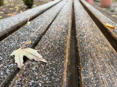 На Вторую Пречистую в Украине выпадет первый снег